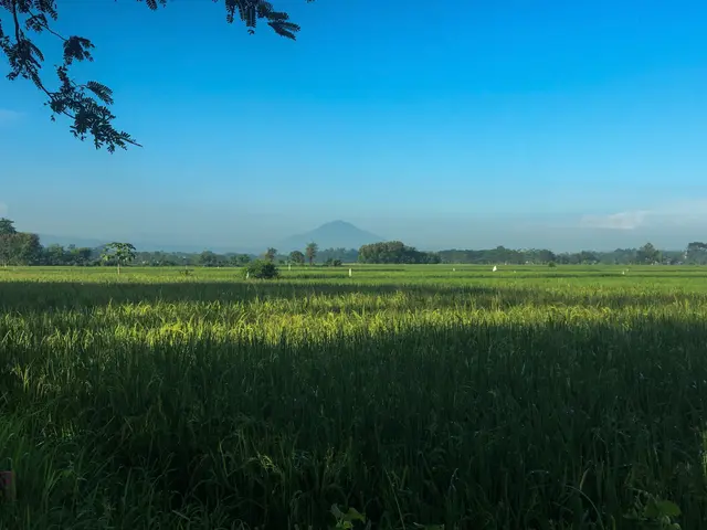 Probolinggo