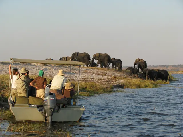 Chobe National Park