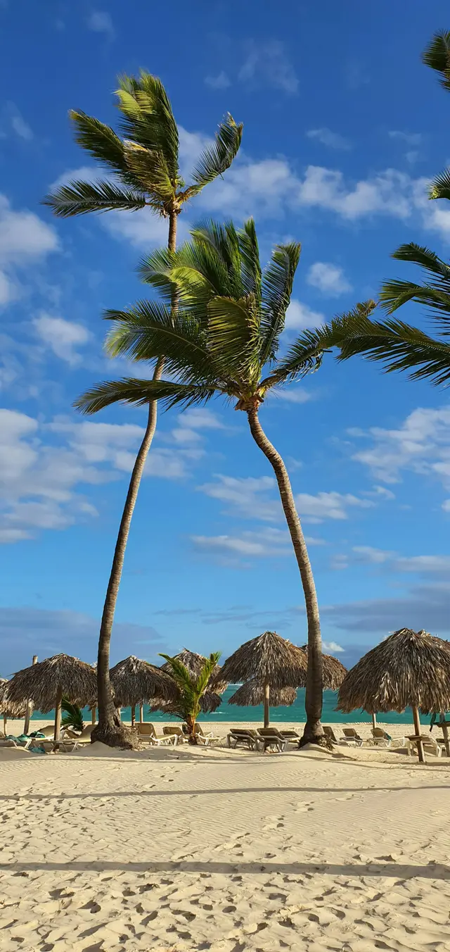 Punta Cana