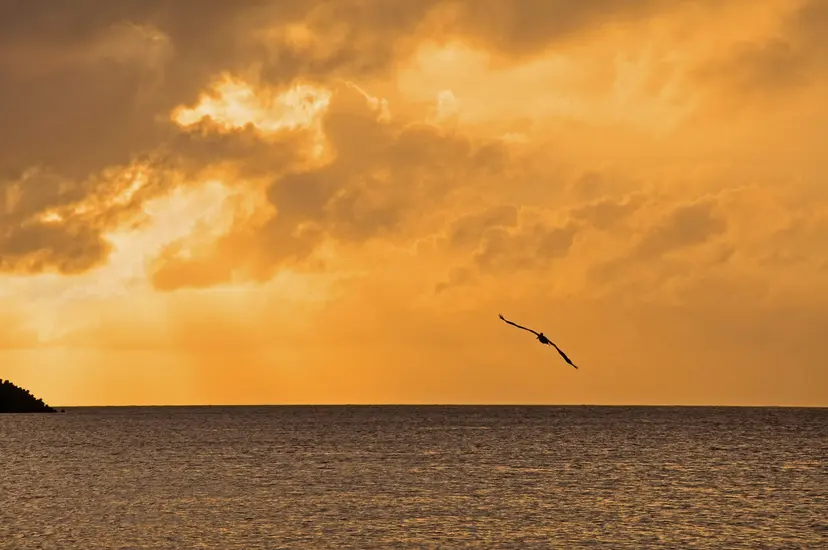 Journeys - 12-Day Southern Caribbean