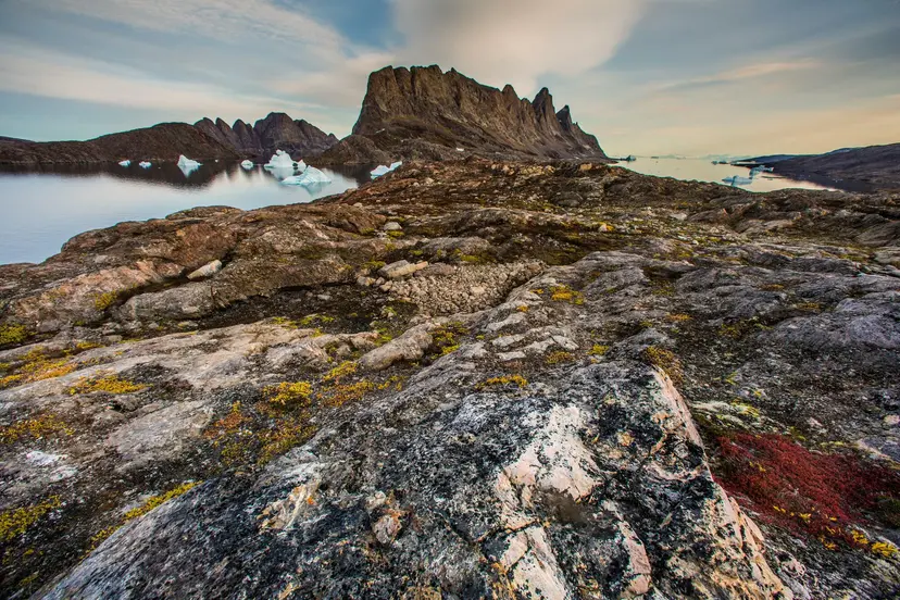 12-Night Arctic Cruise