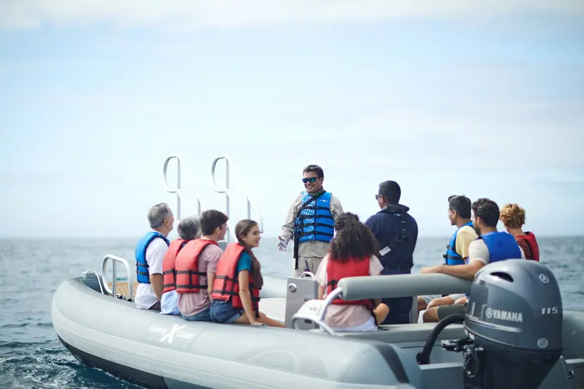 Novurania Yacht Tenders
