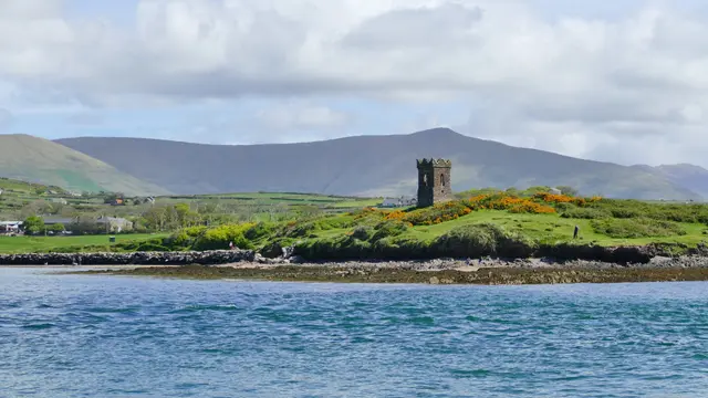 Dingle