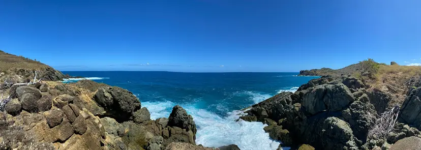 New Zealand & Australia Holiday Cruise: Wellington, Hobart & Sydney