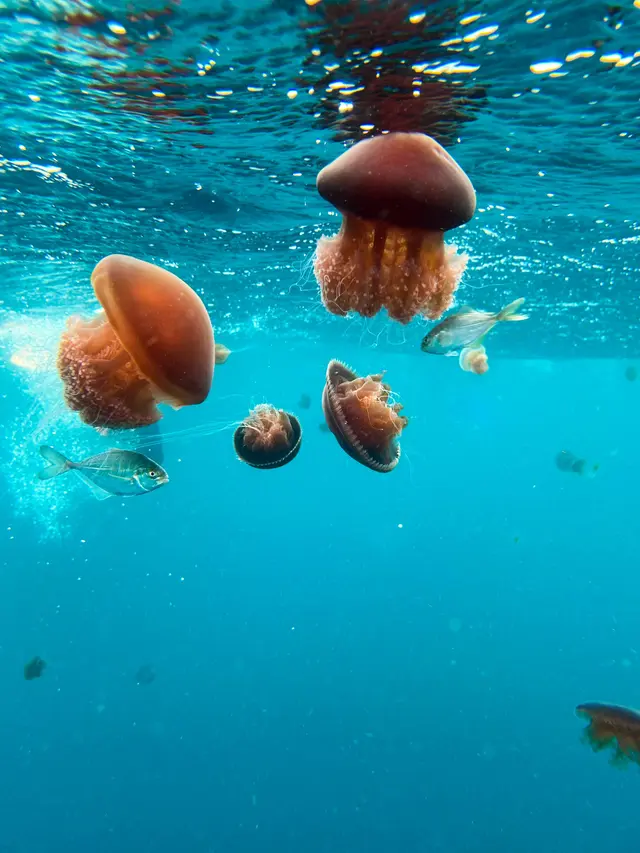 Ningaloo, Western Australia