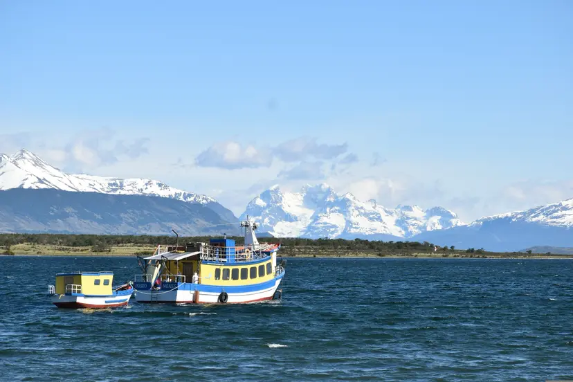 14-Night South America Cruise