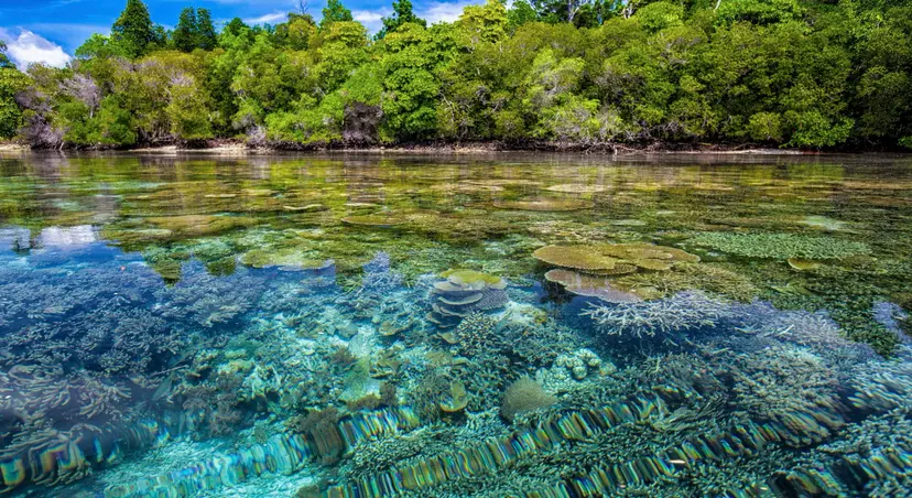Island Treasures of Indonesia & East Timor