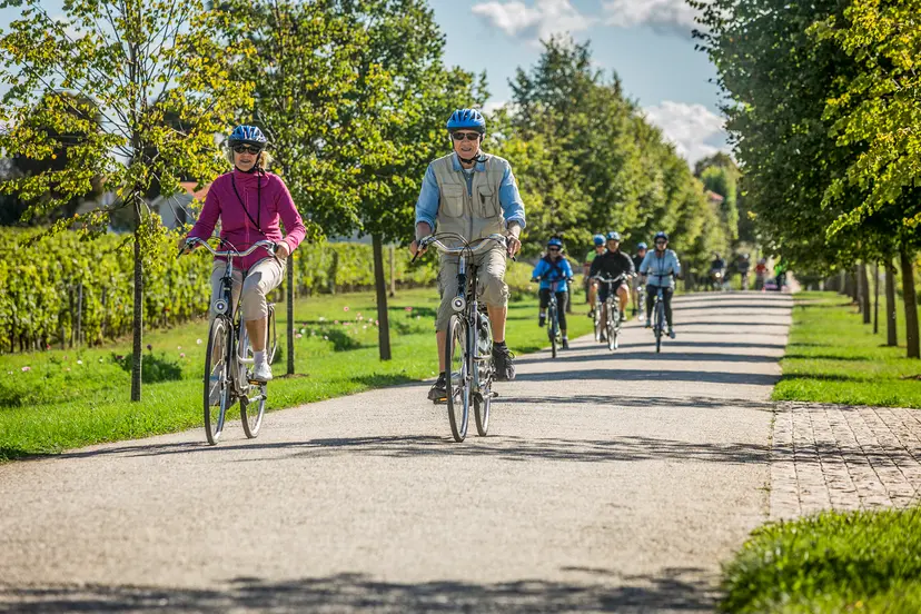 Guided Bike Tours