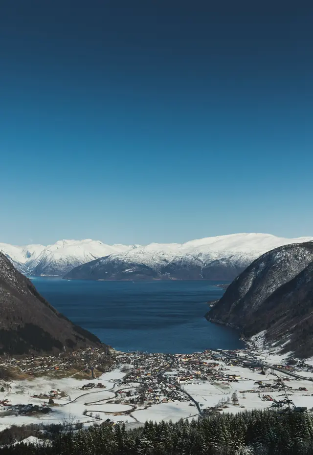 Vik