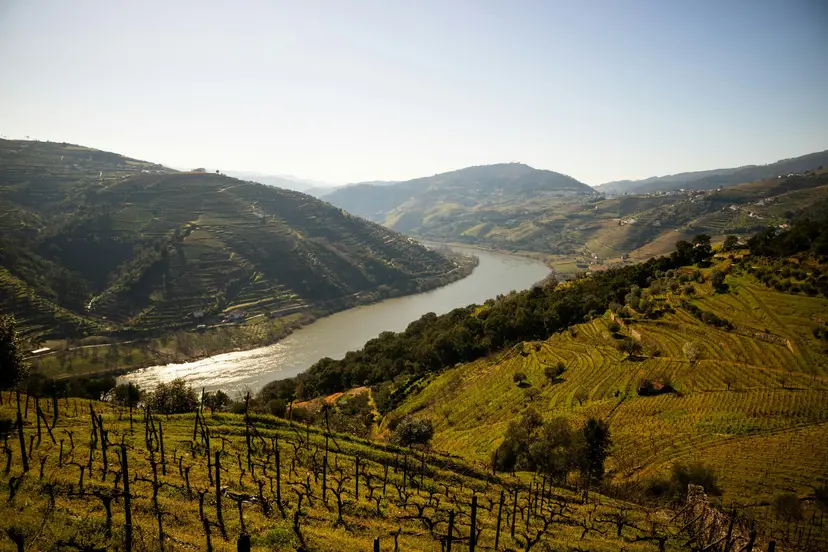 11-Night Mediterranean Cruise