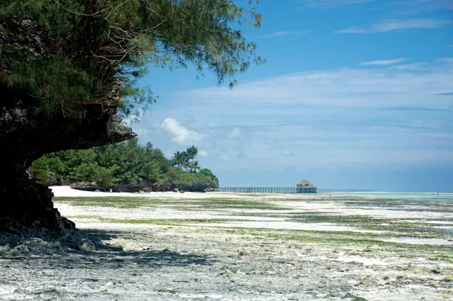 Zanzibar