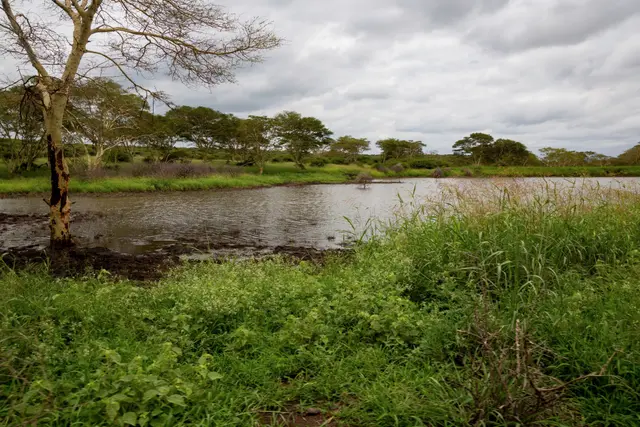 Richards Bay