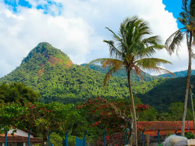 Ilha Grande