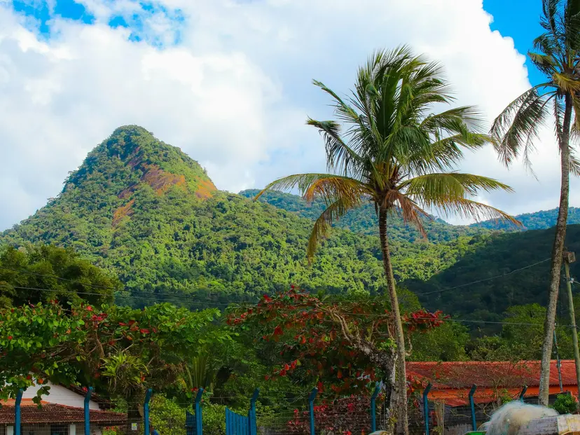 Rio de Janeiro, Paranaguá, Itajai
