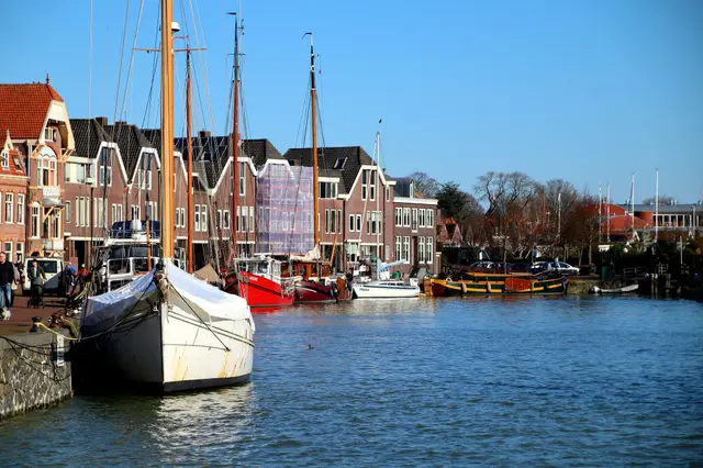 Hoorn