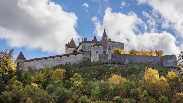 Gruyeres