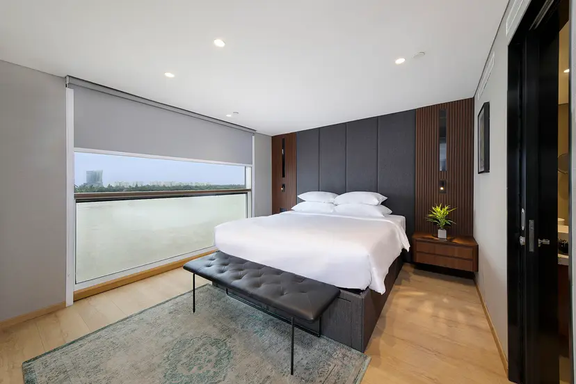Owner's One-bedroom Suite