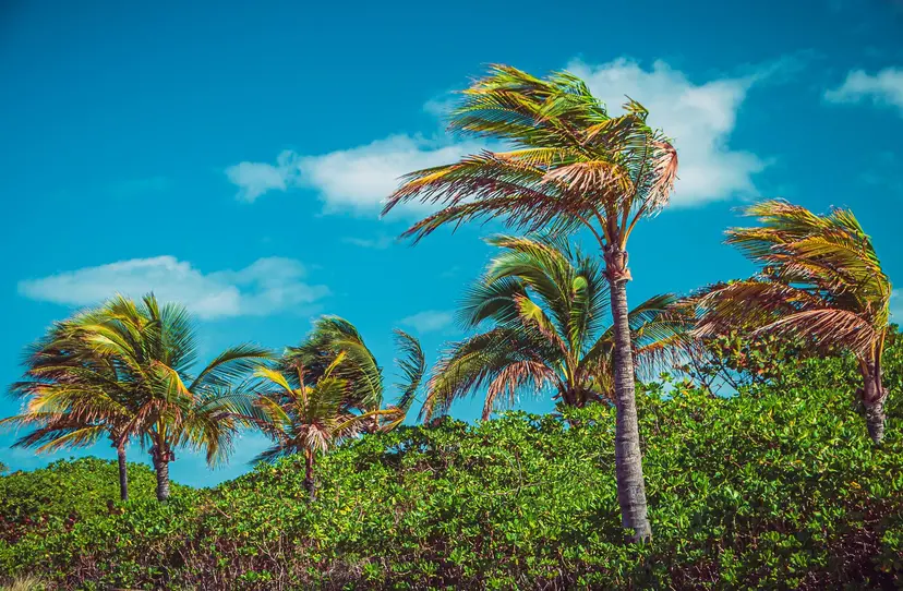 BAHAMAS