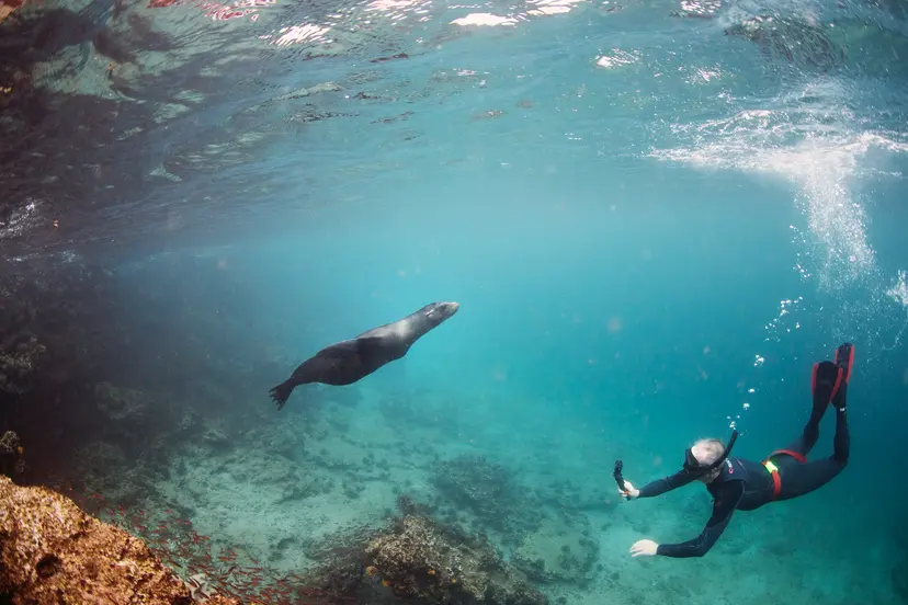 Snorkeling