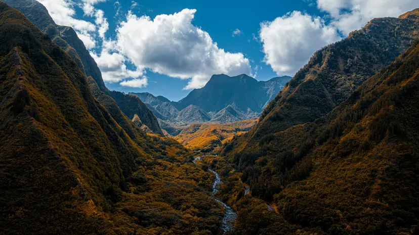 16-Night Hawaii Cruise