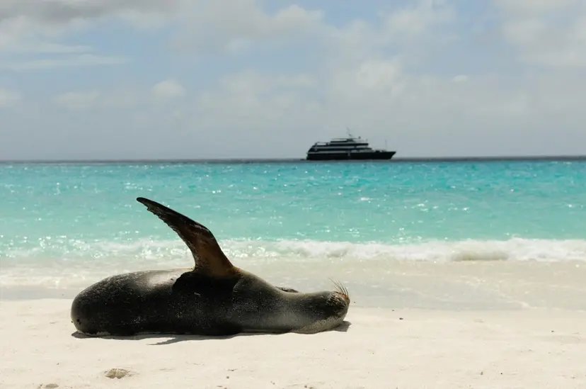 378-Night Galapagos Islands Cruise