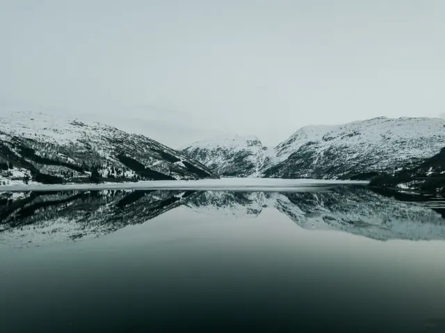 Odda