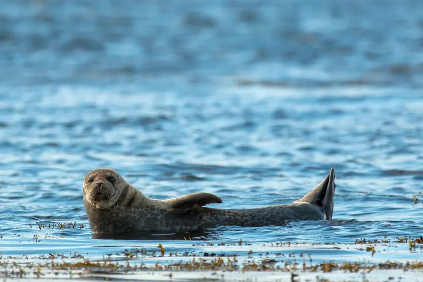 8-Day Alaska Fjords, Canadian Inside Passage & Glacier Bay