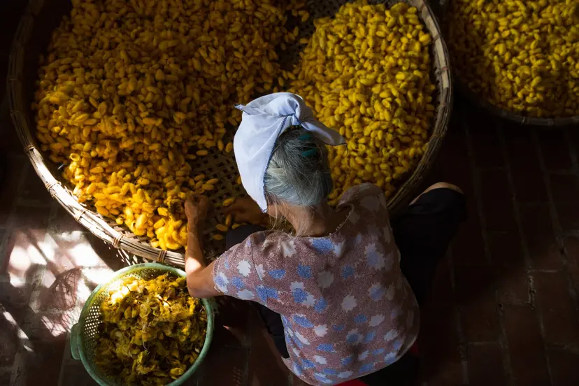 Charms of the Mekong