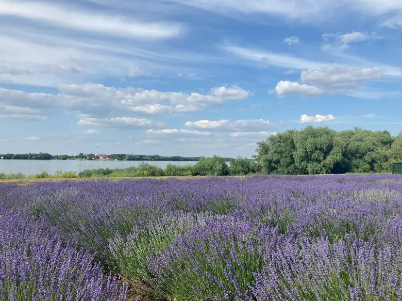 Iconic Europe, from Bucharest to Amsterdam with Transylvania