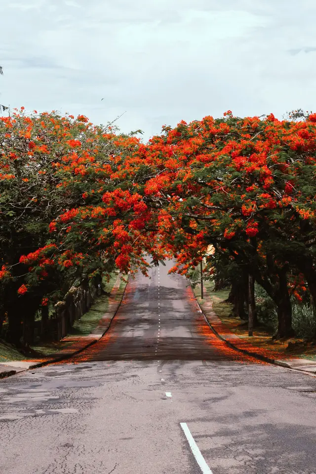 Suva