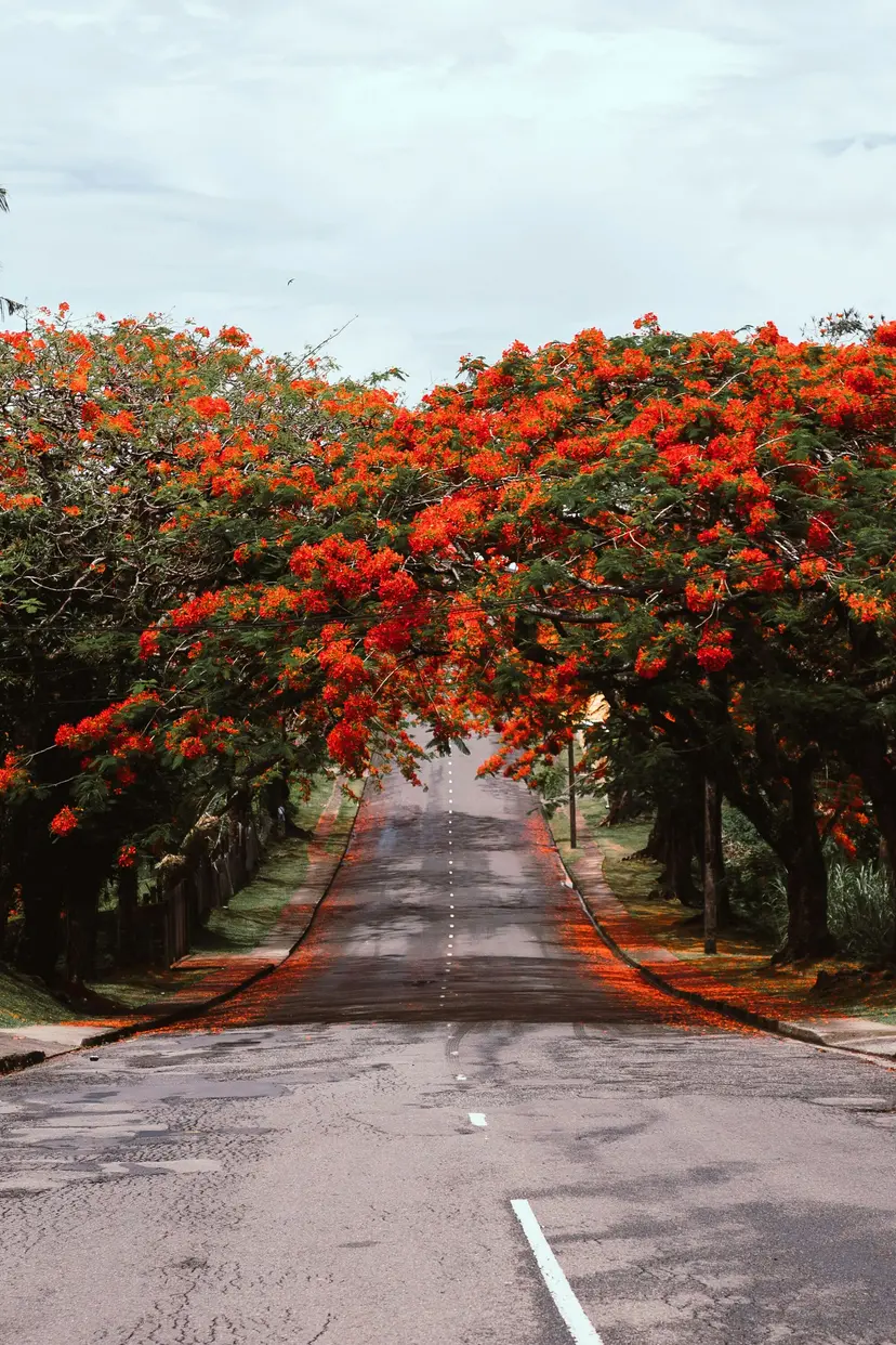126-Day World Cruise: Australia & South Pacific Panorama