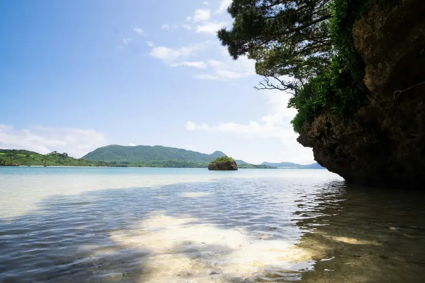 4-Night Asia Cruise