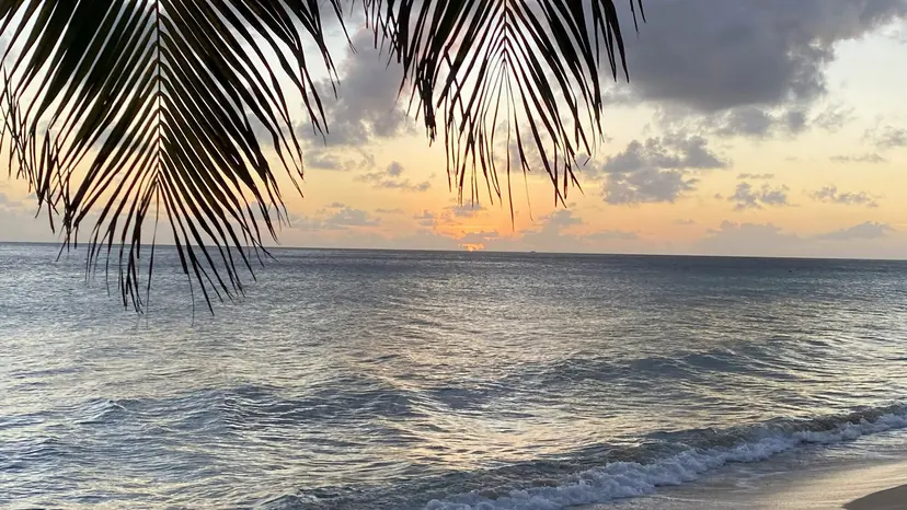 49-Day Exploring The Caribbean, South America & Scotia Arc