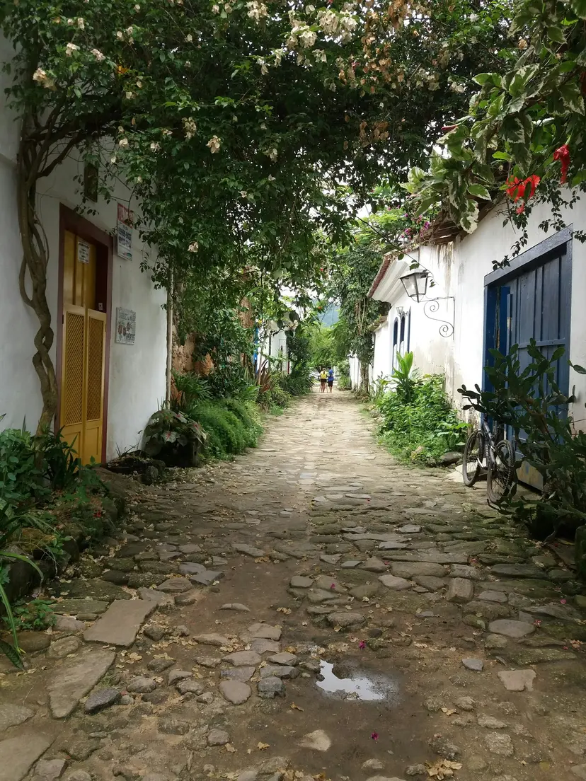 Bossa Nova Reverie