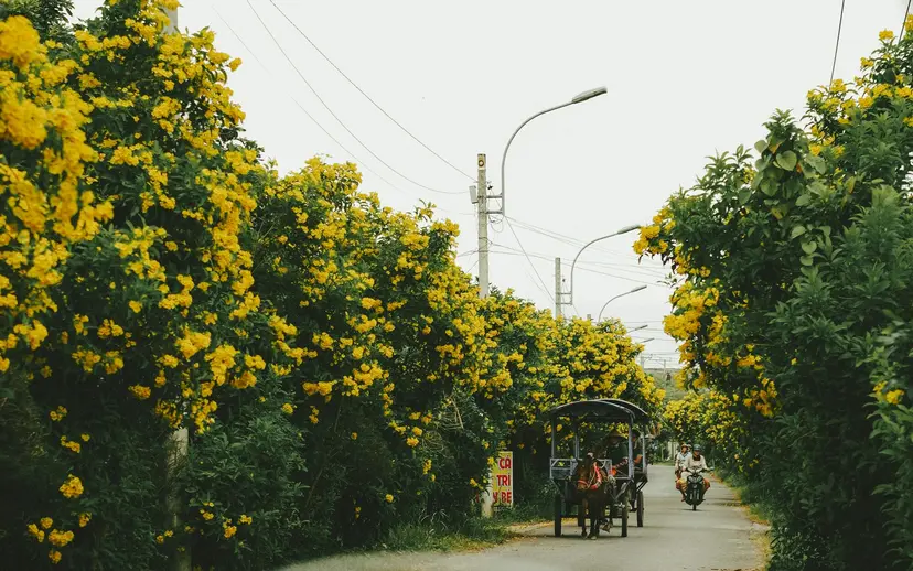 Grand Tour of Vietnam & Cambodia