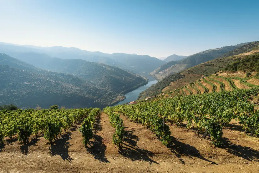 Flavors of Portugal & Spain
