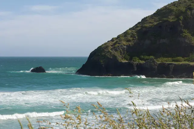 Dunedin