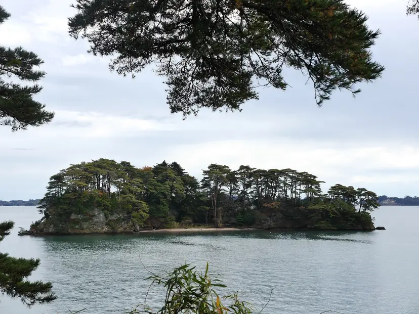 16-Night Transpacific Cruise