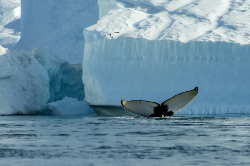In the heart of the Northwest Passage