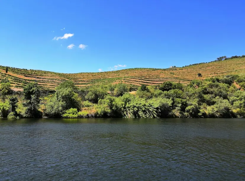 6-Night Douro Cruise