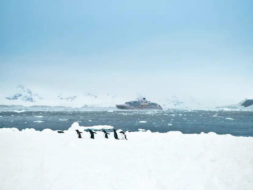 Expedition Experiences