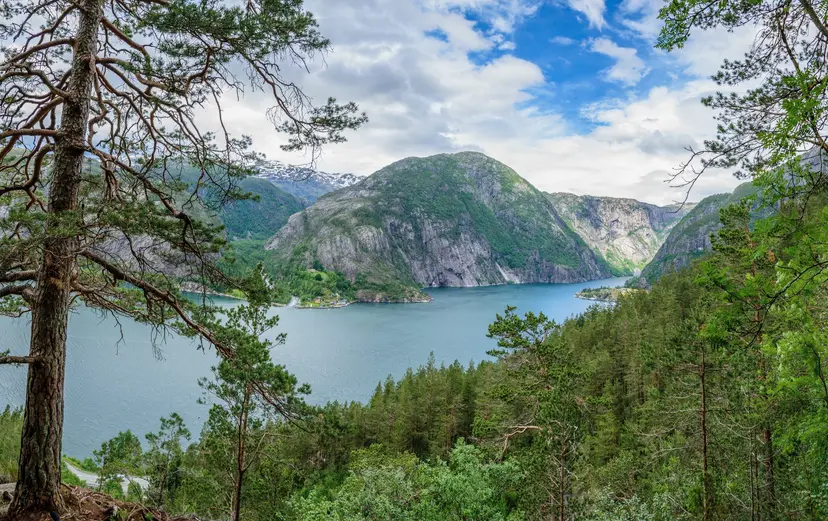 Norwegian fjords