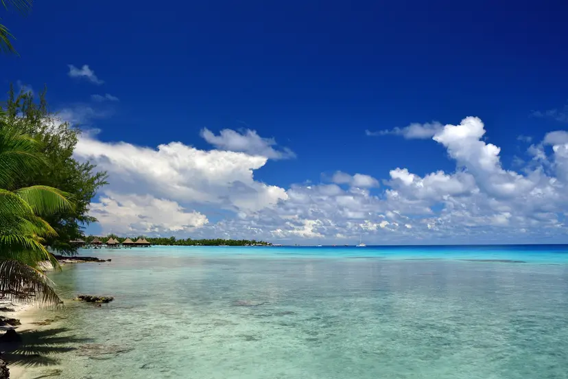 14-Night Polynesia Cruise