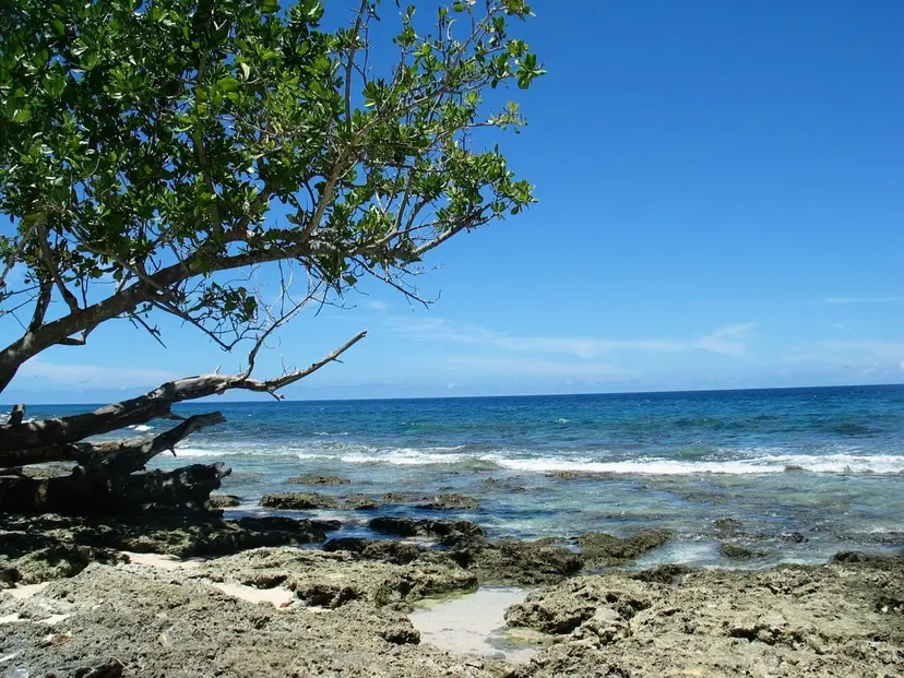 Exploring the Malay Archipelago