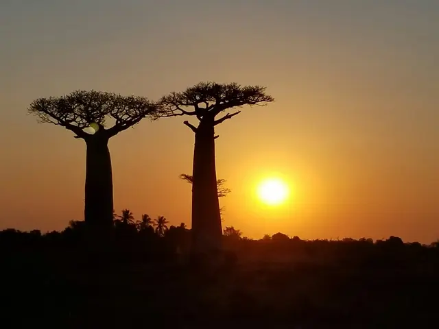 Morondava