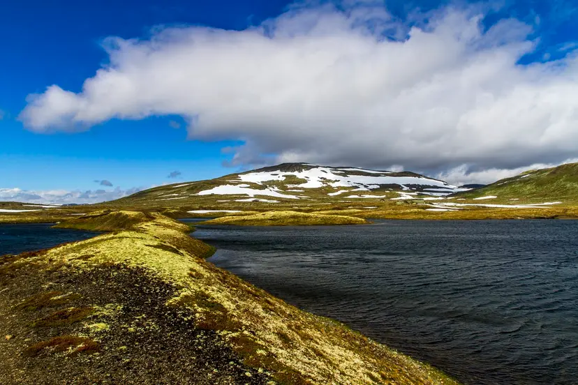 9-Night Arctic Cruise