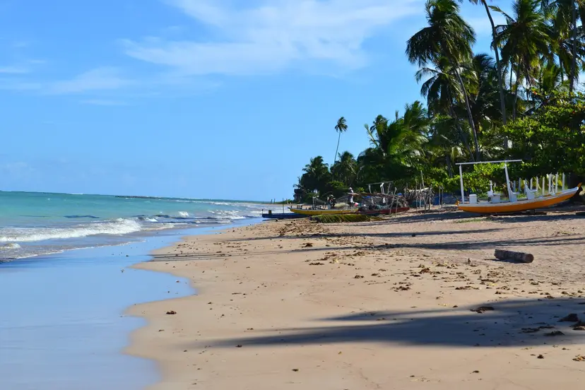 Santos, Rio de Janeiro, Maceio
