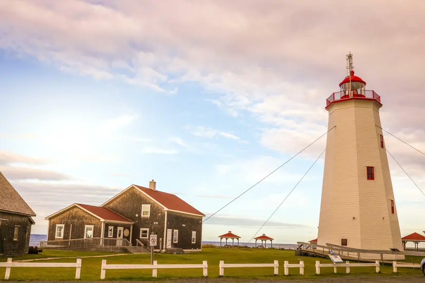 Maples & Maritime Flavors