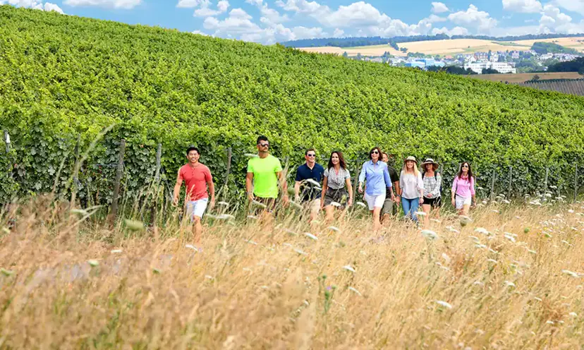Guided Hiking Tours