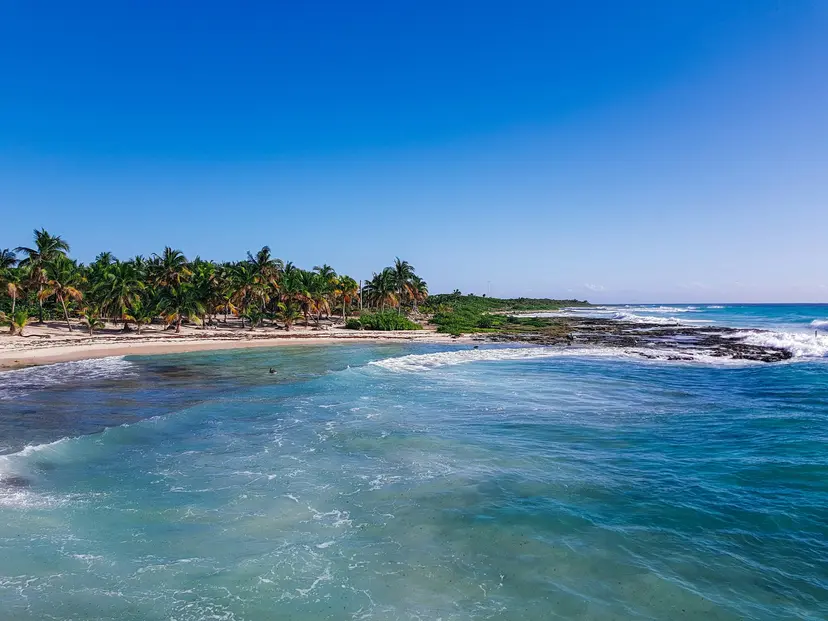 Galveston, Costa Maya, Isla de Roatan, Cozumel, Galveston